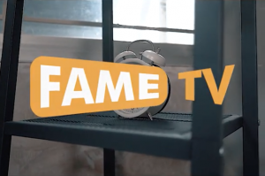 Read more about the article Fame TV